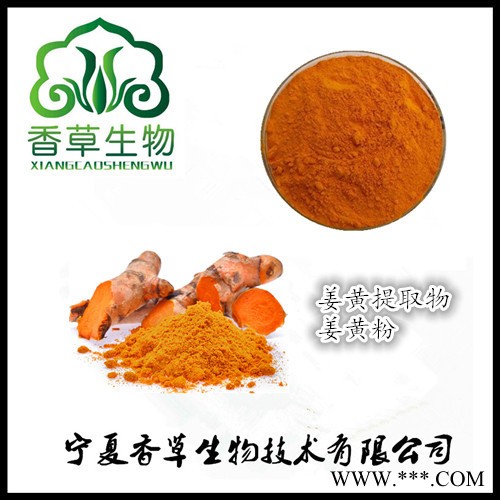 香草生物供應 姜黃提取物 姜黃素95% 著色劑 姜黃粉